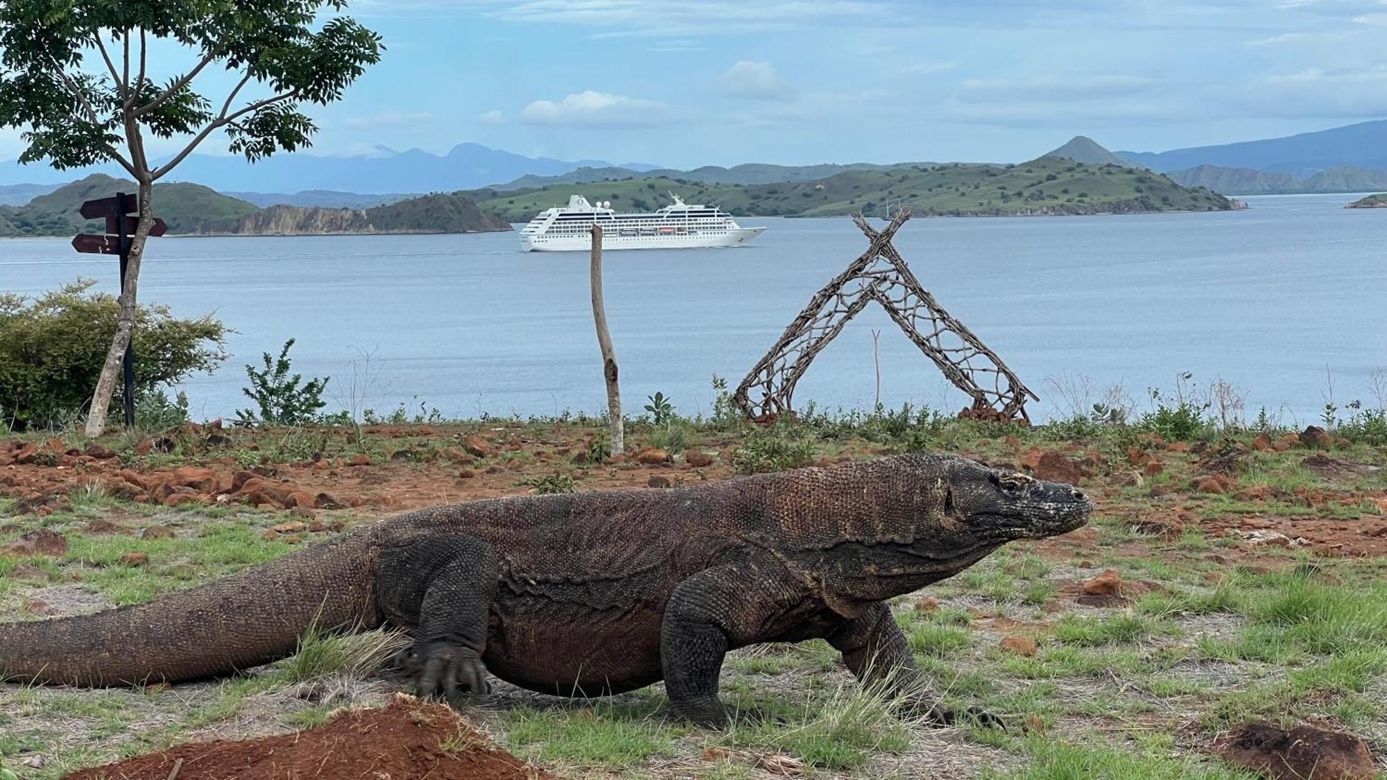 Jhuna Komodo Homestay Buitenkant foto